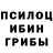 Псилоцибиновые грибы мухоморы Dubh Bubonem